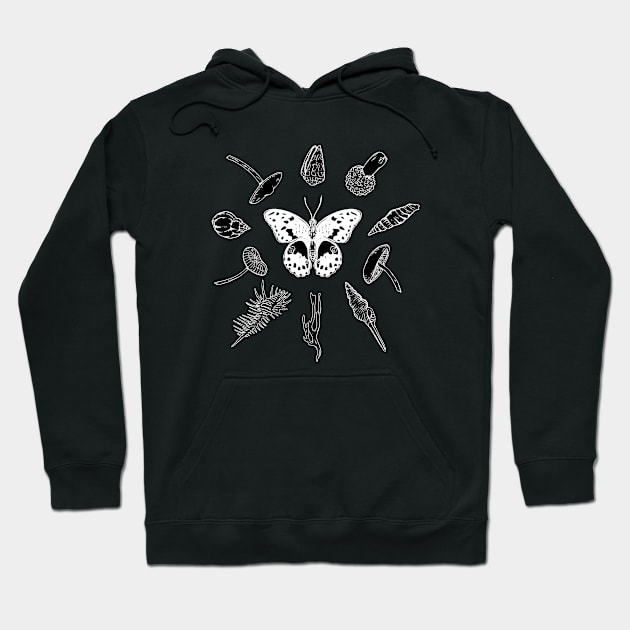 Chequered Swallowtail Butterfly with various shells and fungi - Inverted. Hoodie by bangart